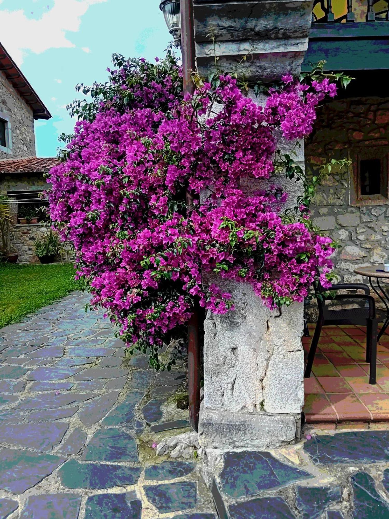 Gran Pedroso De Llanes Villa Exterior foto